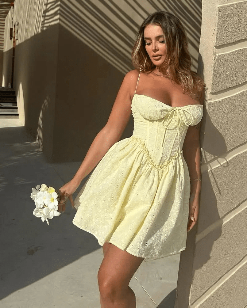 Katie Embroidered Hollow-Out Mini Dress - Elegant Occasion Dress for Women