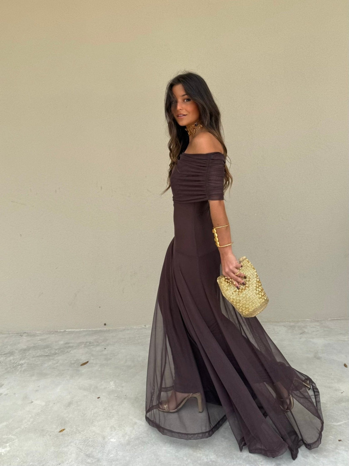 Daniella Mesh Maxi Dress - Brown Flowy Formal Maxi Dress